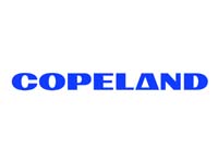 brand-name